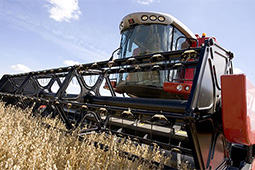 AGCO Trader